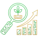 Optimisation SEO locale